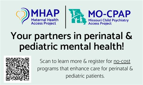 pdmp st louis|St. Louis County PDMP: Setting a Standard of Best Practices for a.